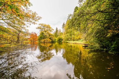 Kinzigtal 'daki Haslach yakınlarındaki orman gölü manzarası. Sonbaharda göl kenarında doğa.