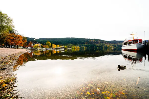 黑森林Titisee Neustadt附近的Titisee景观及其周围环境 秋天湖边的风景 图库图片