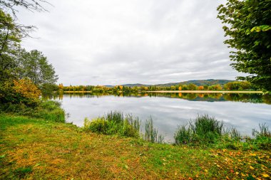 Hemsbach yakınlarındaki Wiesensee 'de manzara. Sonbaharda göl kenarındaki doğa.