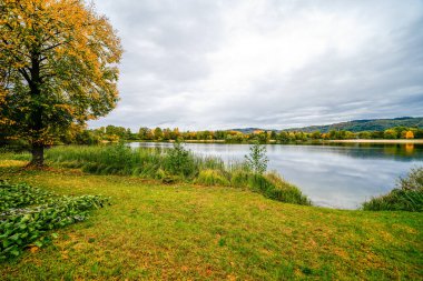 Hemsbach yakınlarındaki Wiesensee 'de manzara. Sonbaharda göl kenarındaki doğa.