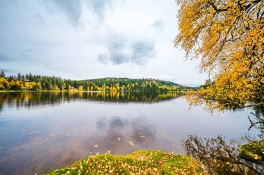 Kara Orman 'daki Lenzkirch yakınlarındaki Windgfaellweiher' da manzara. Sonbaharda göl kenarındaki doğa.