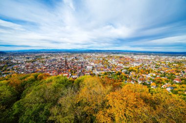 Freiburg im Breisgau ve çevre manzarası.