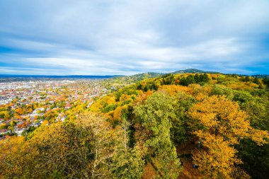 Freiburg im Breisgau ve çevre manzarası.