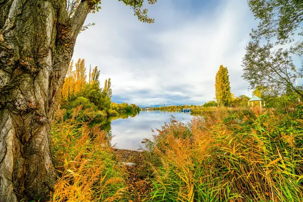 弗赖堡附近的Flueckiger湖和周围的大自然在一起 湖畔的秋景 图库图片