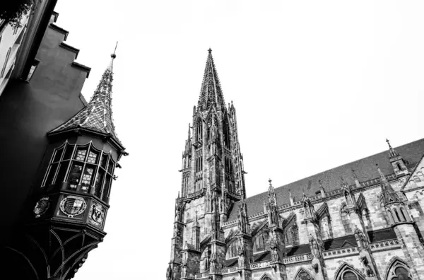 Freiburg Breisgau的历史建筑几百年前的建筑 图库图片