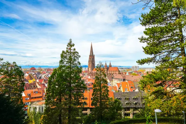Blick Auf Freiburg Breisgau Und Die Umliegende Landschaft Stockbild