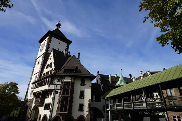 Freiburg Breisgau镇的传统建筑 图库照片