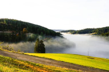 Kara Orman 'da sonbahar manzarası. Doğa sabahları vadide alçak bulutlarla.