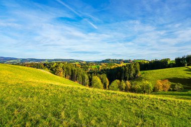 Kara Orman 'da sonbahar manzarası. Ormanları, tepeleri ve tarlaları olan doğa..