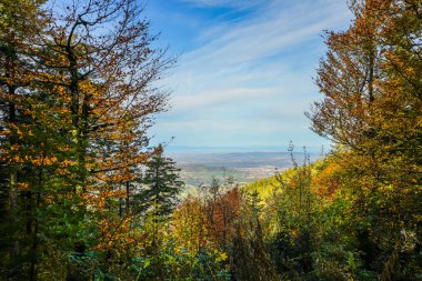 Freiburg im Breisgau yakınlarındaki Kara Orman 'daki Schauinsland' dan görüntü. Sonbaharda ormanlar ve tepeler ile manzara.