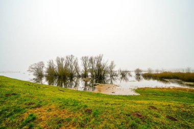Doemitz yakınlarındaki Elbe 'de manzara. Bulutlu bir günde, nehir kıyısında.