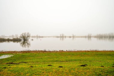 Doemitz yakınlarındaki Elbe 'de manzara. Bulutlu bir günde, nehir kıyısında.