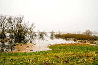 Doemitz yakınlarındaki Elbe 'de manzara. Bulutlu bir günde, nehir kıyısında.