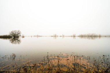 Doemitz yakınlarındaki Elbe 'de manzara. Bulutlu bir günde, nehir kıyısında.