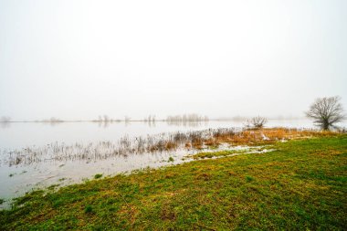 Dmitz yakınlarındaki Elbe 'de manzara. Bulutlu bir günde, nehir kıyısında.