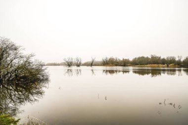 View of Lake Gartow in the municipality of Gartow in Lower Saxony. Winter landscape by the lake on a cloudy day. clipart