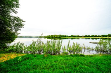 Auesee, Wesel yakınlarında. Göl kenarındaki manzara.