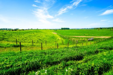 Landscape on the Bislicher Insel near Xanten in the Wesel district. Nature reserve on the floodplain landscape on the Lower Rhine. clipart