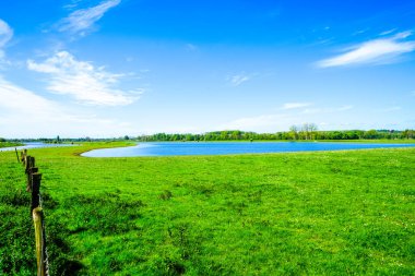 Landscape on the Bislicher Insel near Xanten in the Wesel district. Nature reserve on the floodplain landscape on the Lower Rhine. clipart