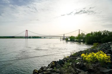 View of the Rhine bridge near Emmerich am Rhein. Landscape by the river in the evening with a suspension bridge on the Lower Rhine. clipart