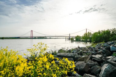 Emmerich am Rhein yakınlarındaki Ren Köprüsü manzarası. Akşamları nehir kenarındaki manzara Aşağı Ren nehrinde bir asma köprü ile.