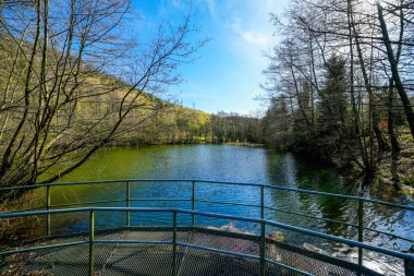 Ruhr bölgesindeki Hagen yakınlarındaki Hasper Barajı 'nda doğa..