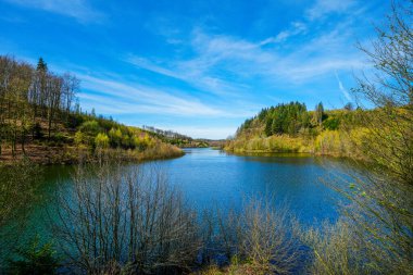 Ruhr bölgesindeki Hagen yakınlarındaki Hasper Barajı 'nda doğa..