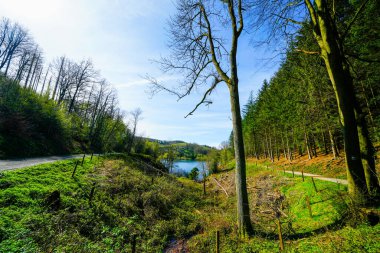 Ruhr bölgesindeki Hagen yakınlarındaki Hasper Barajı 'nda doğa..