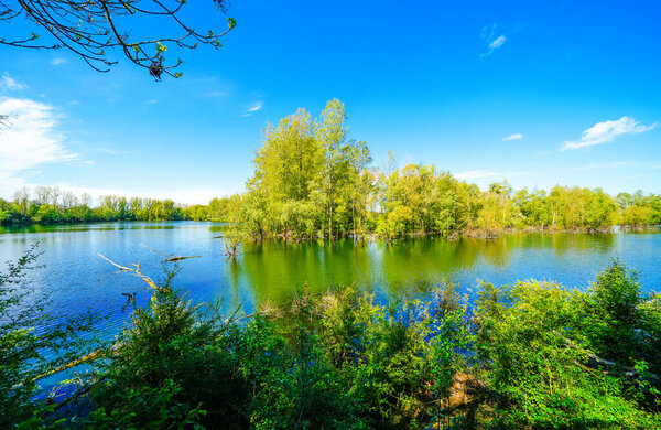Nature on the Bislicher Insel near Xanten in the Wesel district. Landscape by the lake in the nature reserve. Floodplain landscape in Germany.