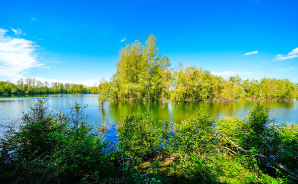 Nature on the Bislicher Insel near Xanten in the Wesel district. Landscape by the lake in the nature reserve. Floodplain landscape in Germany.