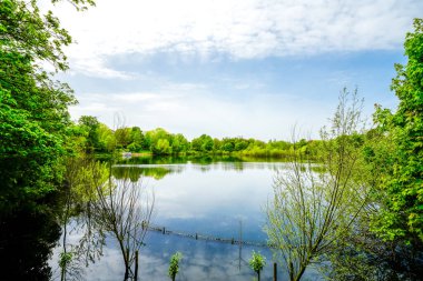 Kamp-Lintfort yakınlarında küçük bir göl. Çevresindeki deniz manzaralı yeşil doğa.
