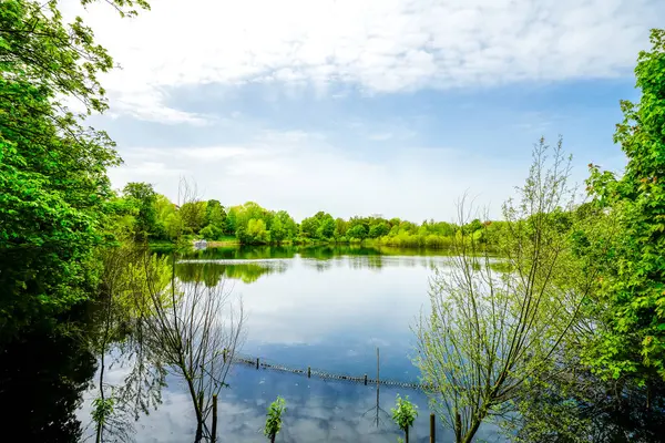 Kamp-Lintfort yakınlarında küçük bir göl. Çevresindeki deniz manzaralı yeşil doğa.