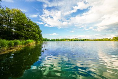 Ingolstadt yakınlarındaki taş ocağı göleti manzaralı. Dinlenme alanındaki göl manzarası..