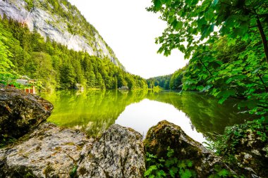 Berglsteiner Gölü 'nün çevresindeki yeşil doğa manzarası. Kufstein yakınlarındaki Tyrol 'daki Alpbachtal' daki Idyllic dağ gölünde. Avusturya 'da manzara.
