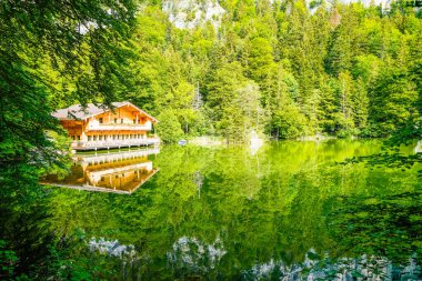 Berglsteiner Gölü 'nün çevresindeki yeşil doğa manzarası. Kufstein yakınlarındaki Tyrol 'daki Alpbachtal' daki Idyllic dağ gölünde. Avusturya 'da manzara.