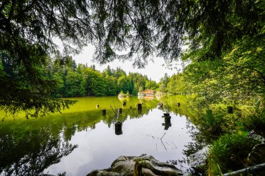 Berglsteiner Gölü 'nün çevresindeki yeşil doğa manzarası. Kufstein yakınlarındaki Tyrol 'daki Alpbachtal' daki Idyllic dağ gölünde. Avusturya 'da manzara.
