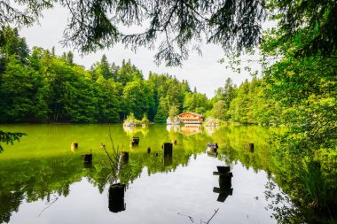 Berglsteiner Gölü 'nün çevresindeki yeşil doğa manzarası. Kufstein yakınlarındaki Tyrol 'daki Alpbachtal' daki Idyllic dağ gölünde. Avusturya 'da manzara.