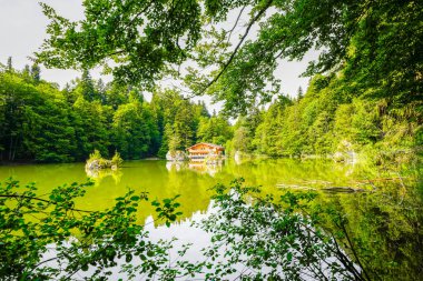 Berglsteiner Gölü 'nün çevresindeki yeşil doğa manzarası. Kufstein yakınlarındaki Tyrol 'daki Alpbachtal' daki Idyllic dağ gölünde. Avusturya 'da manzara.