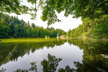Berglsteiner Gölü 'nün çevresindeki yeşil doğa manzarası. Kufstein yakınlarındaki Tyrol 'daki Alpbachtal' daki Idyllic dağ gölünde. Avusturya 'da manzara.