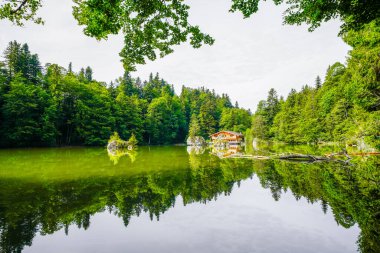 Berglsteiner Gölü 'nün çevresindeki yeşil doğa manzarası. Kufstein yakınlarındaki Tyrol 'daki Alpbachtal' daki Idyllic dağ gölünde. Avusturya 'da manzara.