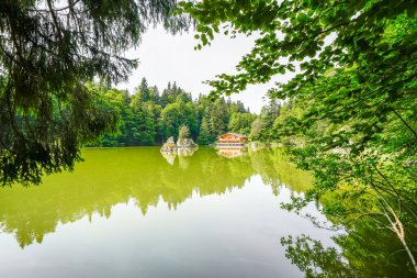 Berglsteiner Gölü 'nün çevresindeki yeşil doğa manzarası. Kufstein yakınlarındaki Tyrol 'daki Alpbachtal' daki Idyllic dağ gölünde. Avusturya 'da manzara.