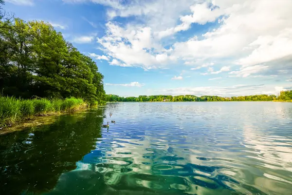 Ingolstadt yakınlarındaki taş ocağı göleti manzaralı. Dinlenme alanındaki göl manzarası..
