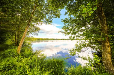 Manching yakınlarındaki Egelsee 'de doğa. Göl manzarası ve çevre manzarası. Bavyera 'da sular.