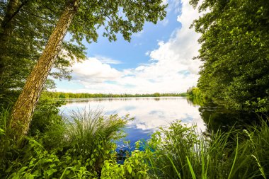 Manching yakınlarındaki Egelsee 'de doğa. Göl manzarası ve çevre manzarası. Bavyera 'da sular.