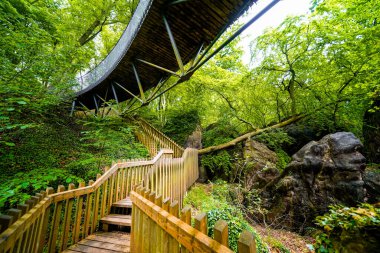 Hemer 'deki Felsenmeer' de doğaya giden yol. Sauerland 'de kayalıkları olan ormanlı bir biyop..