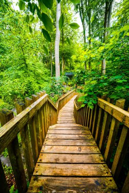Hemer 'deki Felsenmeer' de doğaya giden yol. Sauerland 'de kayalıkları olan ormanlı bir biyop..