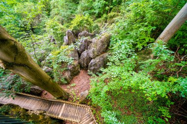 Hemer 'deki Felsenmeer' de doğaya giden yol. Sauerland 'de kayalıkları olan ormanlı bir biyop..