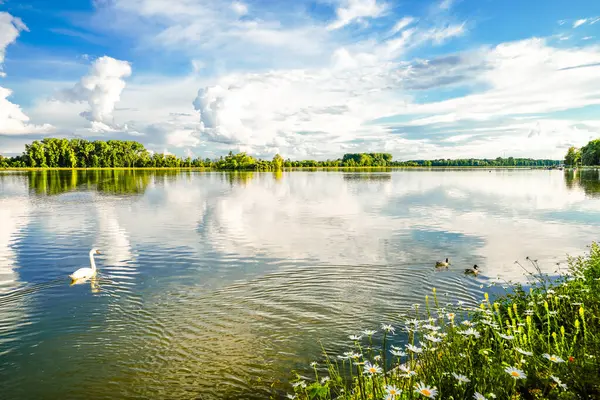 Ingolstadt yakınlarındaki Tuna barajında doğa. Rezervuarın ve çevrenin manzarası. Bavyera 'daki Tuna Barajı' nda sular.