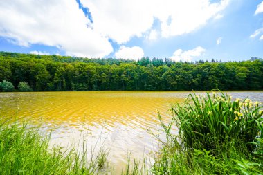 Haunetalsperre ve çevresindeki doğa manzarası. Fulda bölgesindeki Marbach yakınlarında su baskını koruma havzası. Baraj gölünün manzarası.
