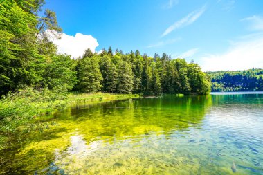 Kufstein yakınlarındaki Hechtsee 'de manzara. Avusturya, Tyrol 'daki temiz dağ gölü. Thierberg 'in ormanlık platosunda çevresi sarılı Idyllic gölü..